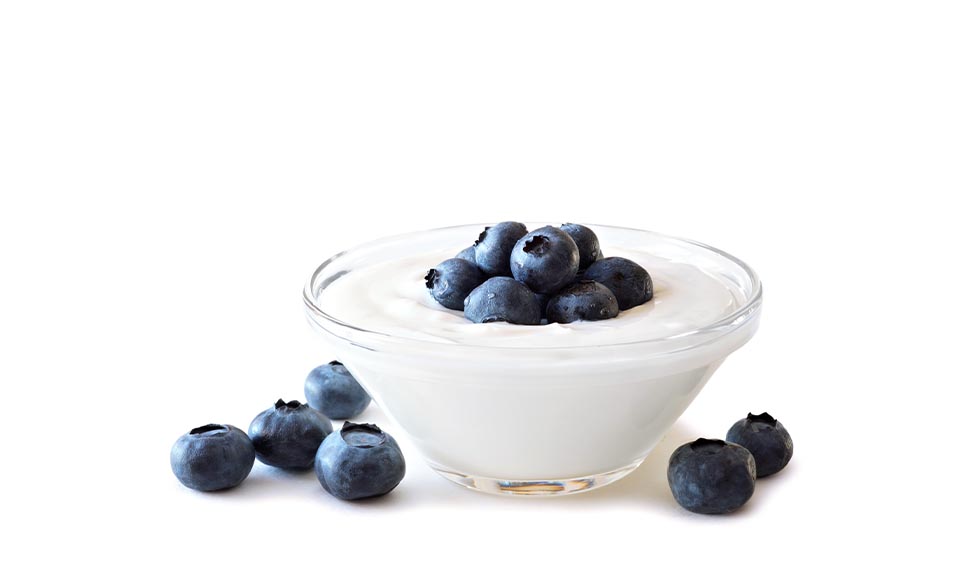 980x580_Explore cultured collection